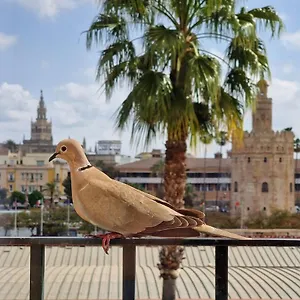 Betis Del Oro Séville